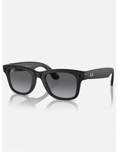 Wayfare Meta Matte Black/Graphite Sunglasses vente chaude votre 